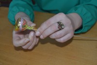 /album/fotogalereya/dsc-0013-jpg/